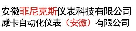 安徽菲尼克斯儀表科技有限公司